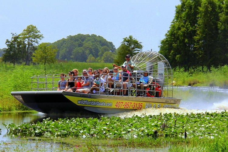 cheap flights to florida everglades