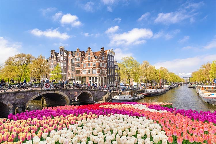 cheap flights to amsterdam in the spring